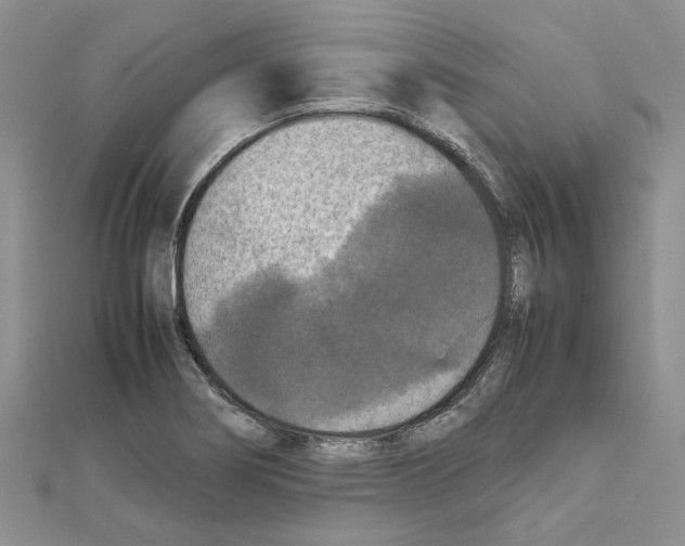 X0000111631274200908281126