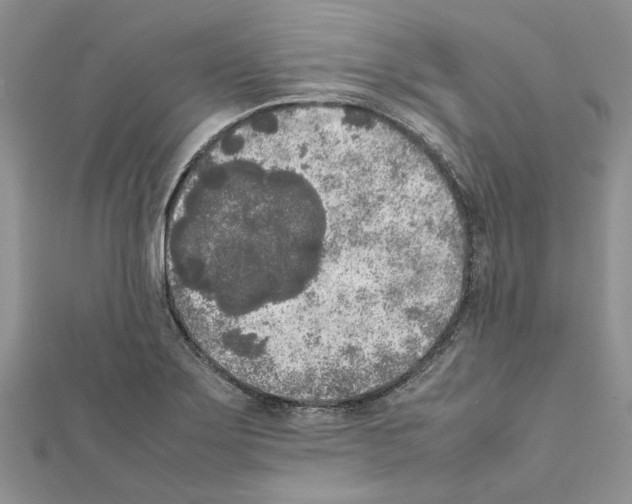 X0000111631275200908281126