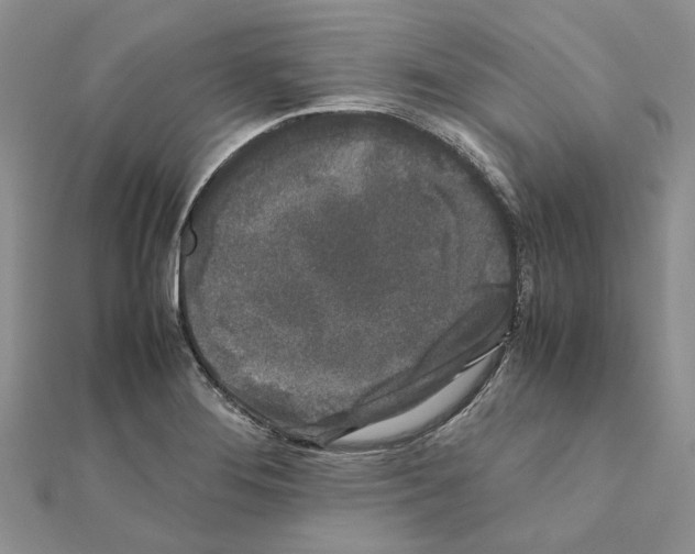 X0000111631276200908281126