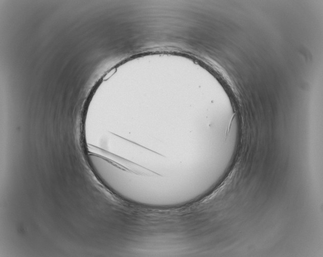 X0000111631277200908281126
