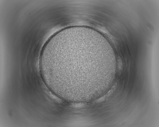 X0000111631278200908281126