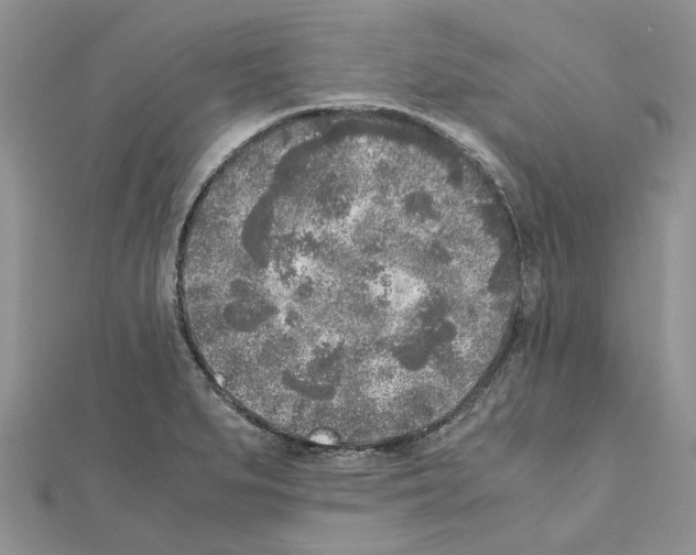 X0000111631279200908281126