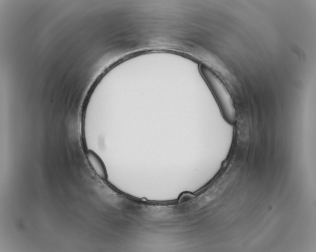 X0000111631280200908281126