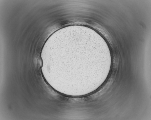 X0000111631281200908281126