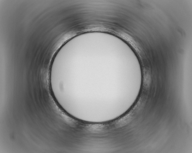 X0000111631282200908281126