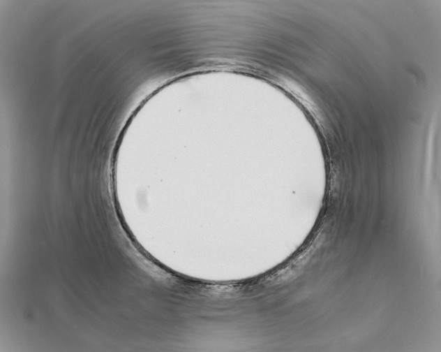 X0000111631283200908281126