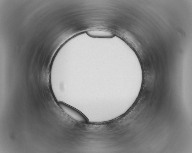 X0000111631284200908281126