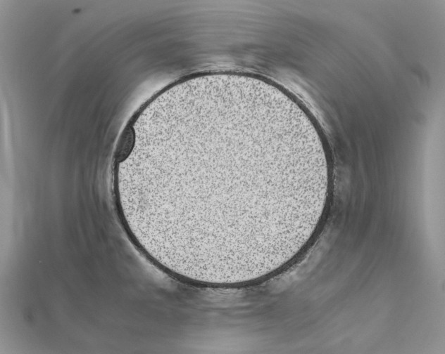 X0000111631285200908281126