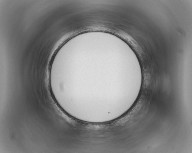 X0000111631286200908281126