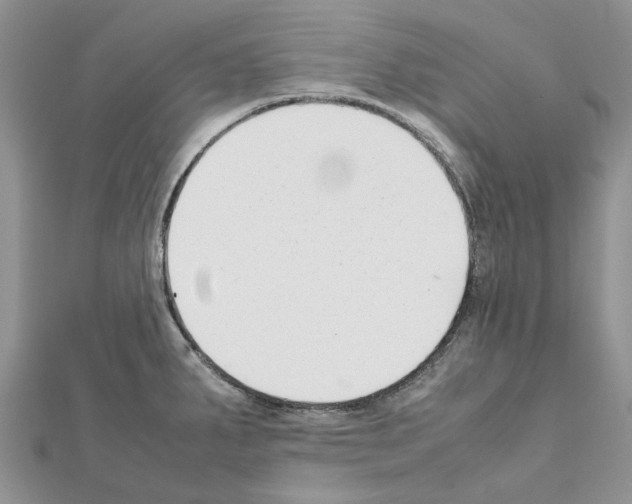 X0000111631287200908281126