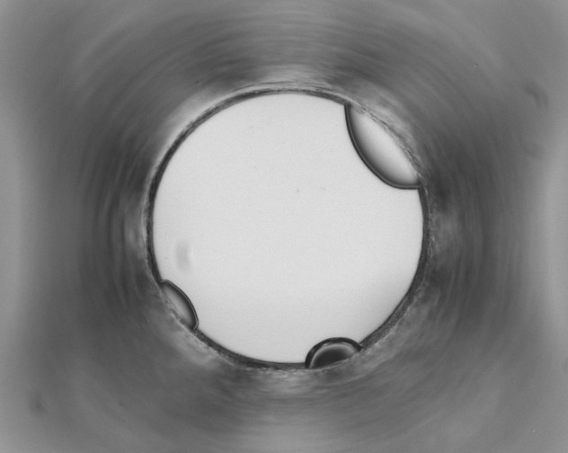 X0000111631288200908281126