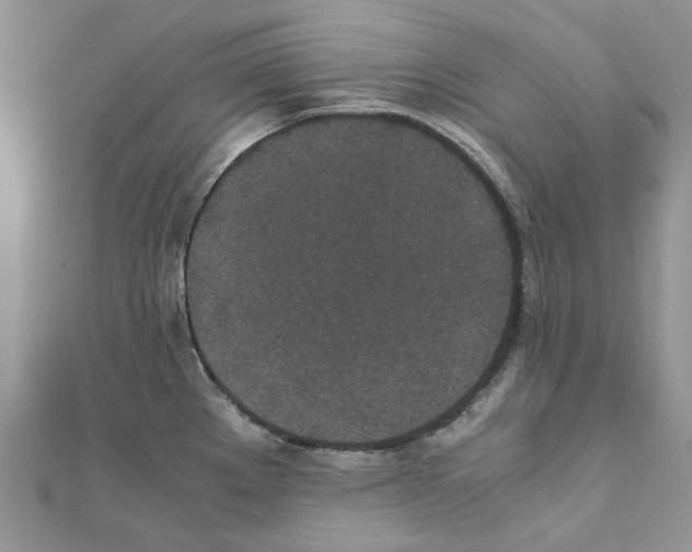 X0000111631289200908281126