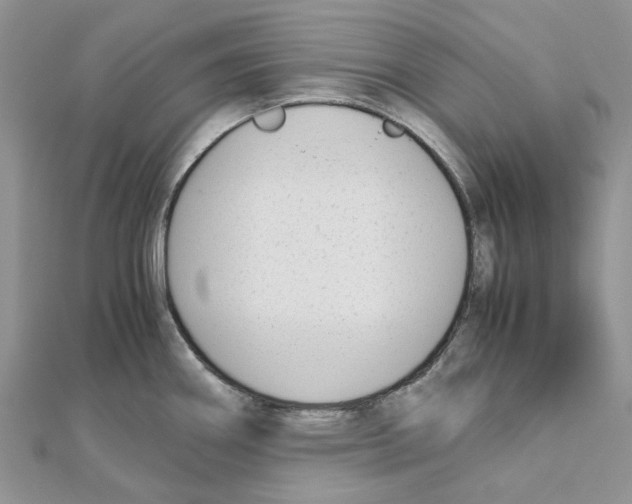 X0000111631290200908281126