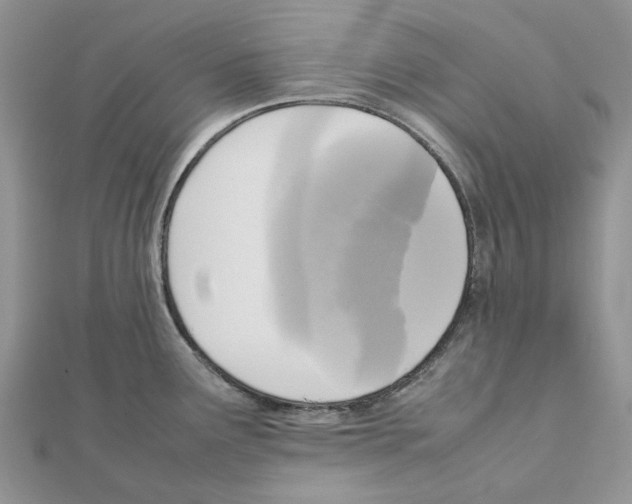 X0000111631291200908281126