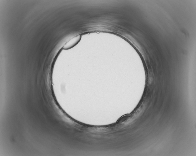 X0000111631293200908281126