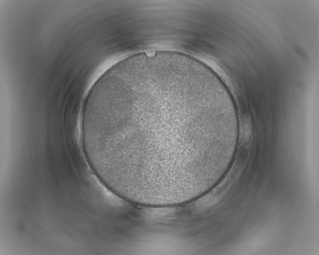 X0000111631294200908281126