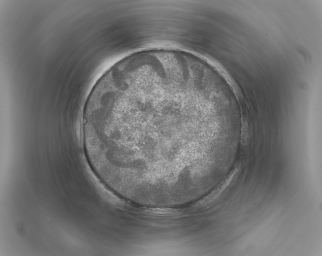 X0000111631295200908281126