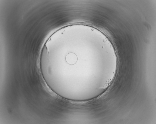 X0000111631296200908281126