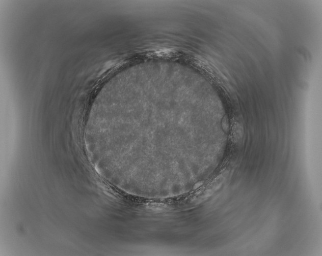 X0000111631297200908281125