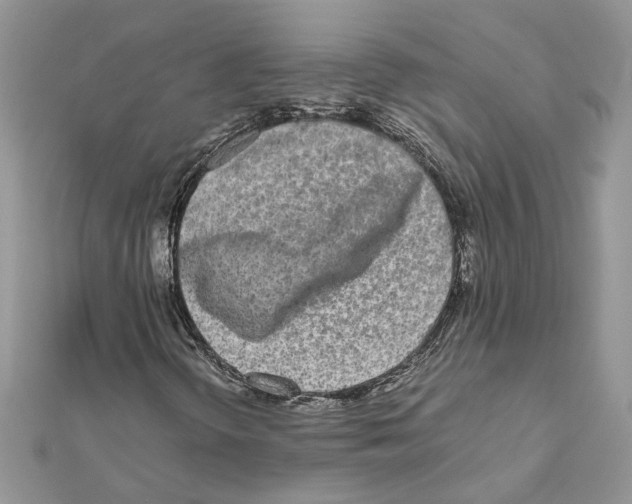 X0000111631298200908281125
