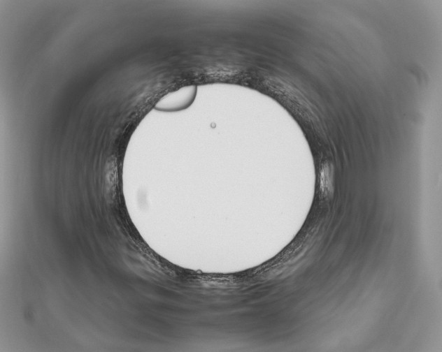 X0000111631299200908281125