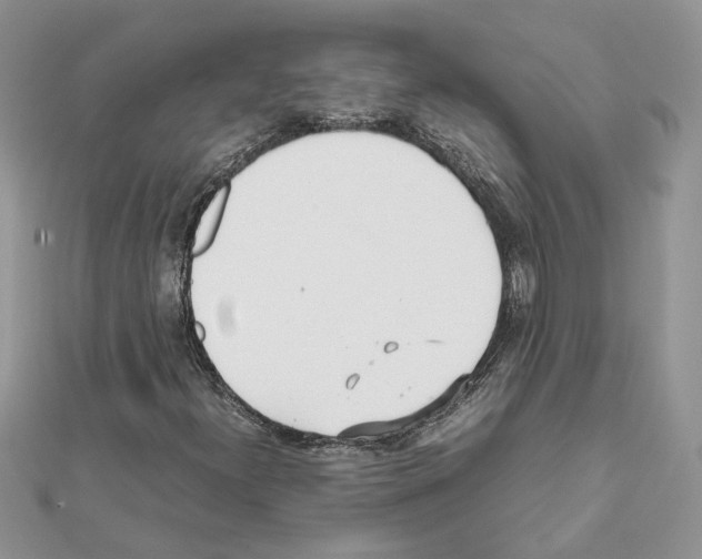 X0000111631300200908281125