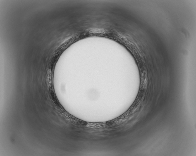 X0000111631301200908281126