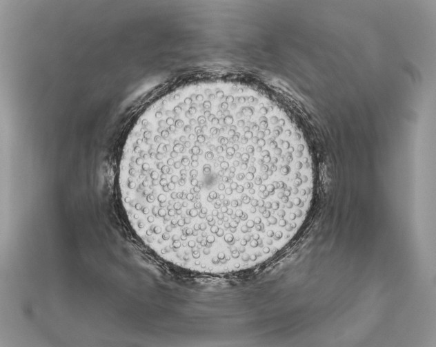 X0000111631302200908281126