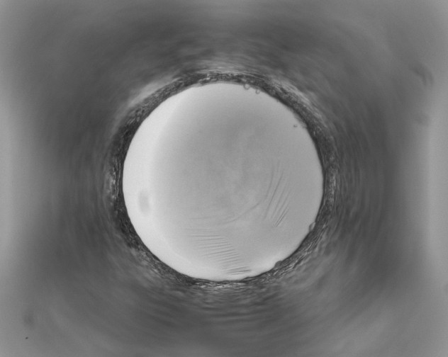X0000111631303200908281126