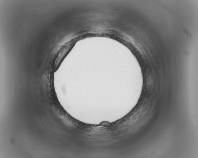 X0000111631304200908281126