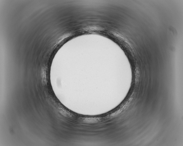 X0000111631305200908281126