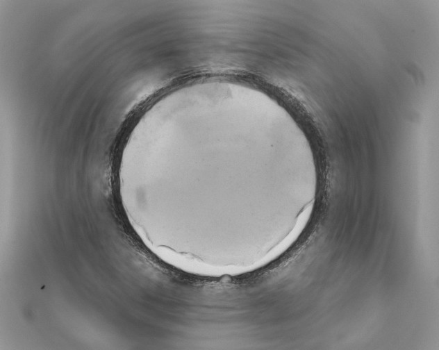 X0000111631306200908281126