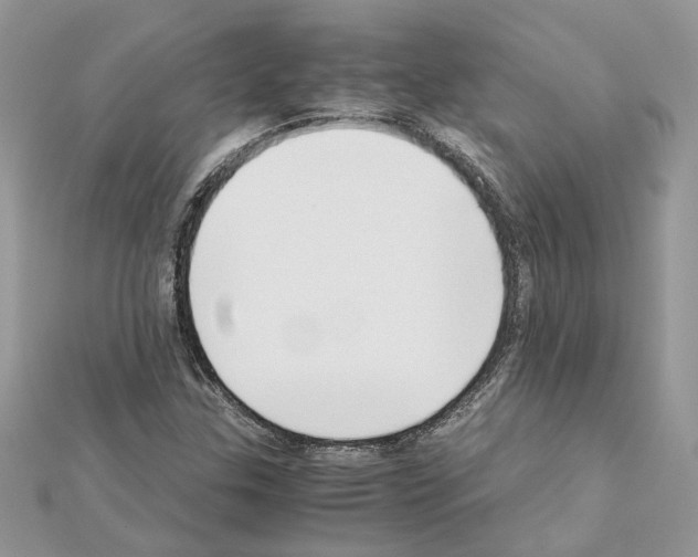 X0000111631307200908281126