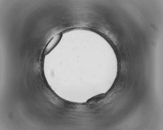 X0000111631308200908281126