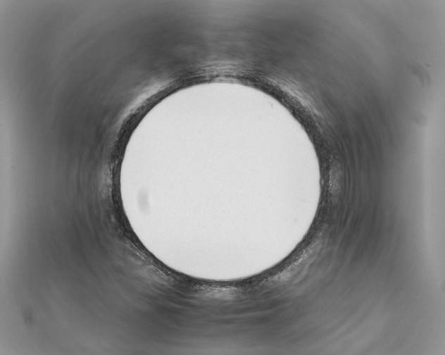 X0000111631309200908281126