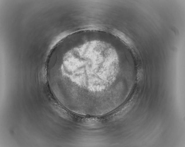 X0000111631310200908281126