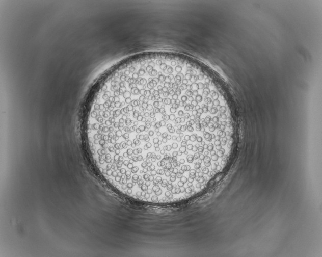 X0000111631311200908281126