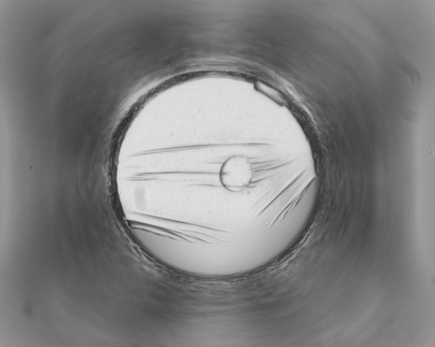X0000111631312200908281126