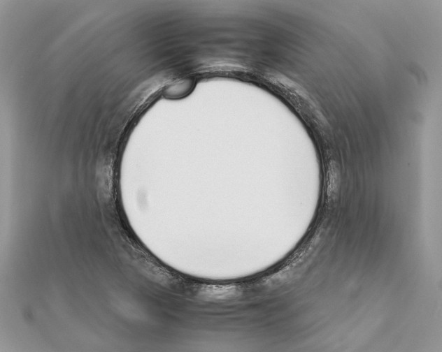 X0000111631313200908281126
