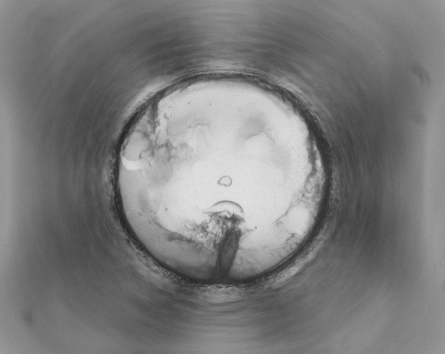 X0000111631314200908281126
