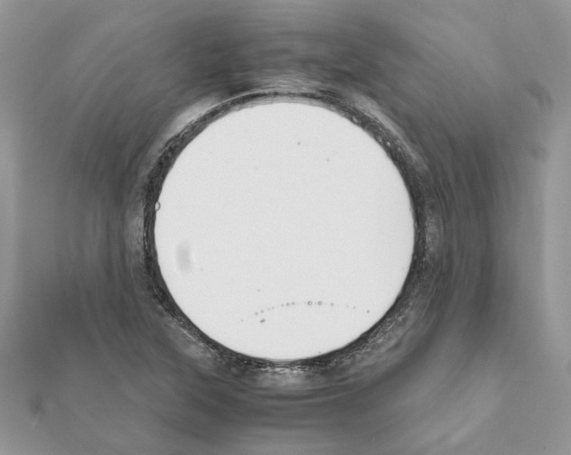 X0000111631315200908281126
