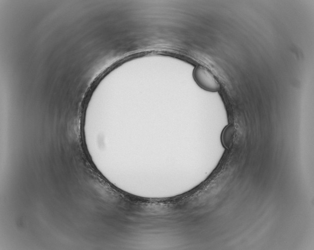 X0000111631316200908281126