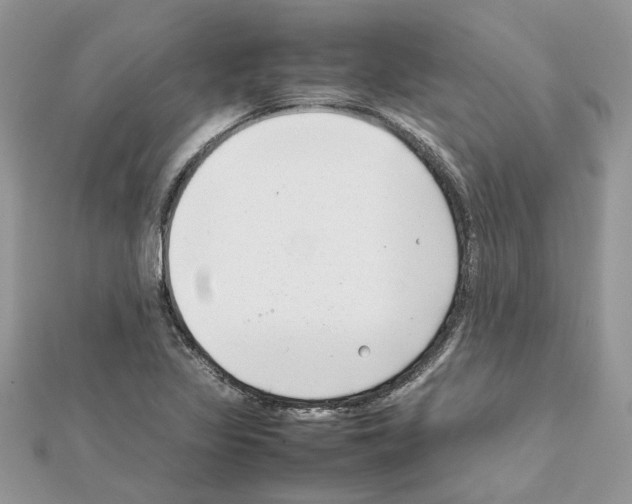 X0000111631317200908281126