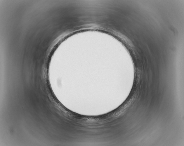 X0000111631318200908281126