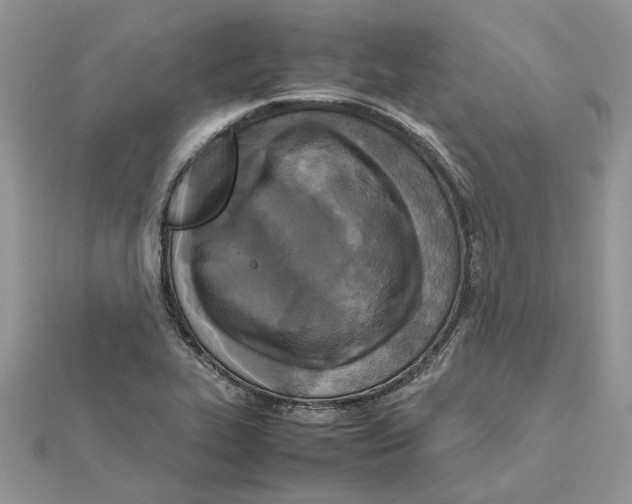 X0000111631319200908281126