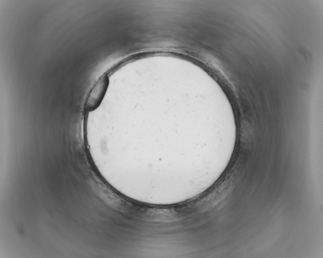 X0000111631320200908281126