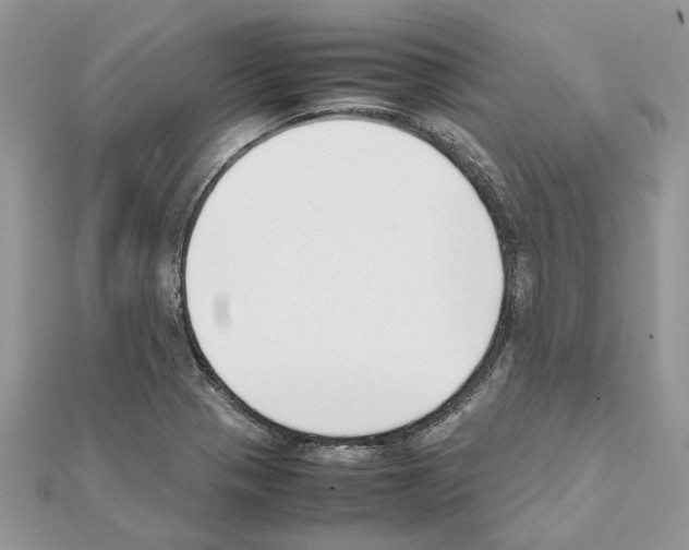 X0000111631321200908281126
