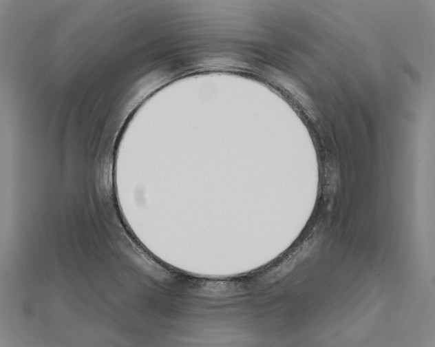 X0000111631322200908281126