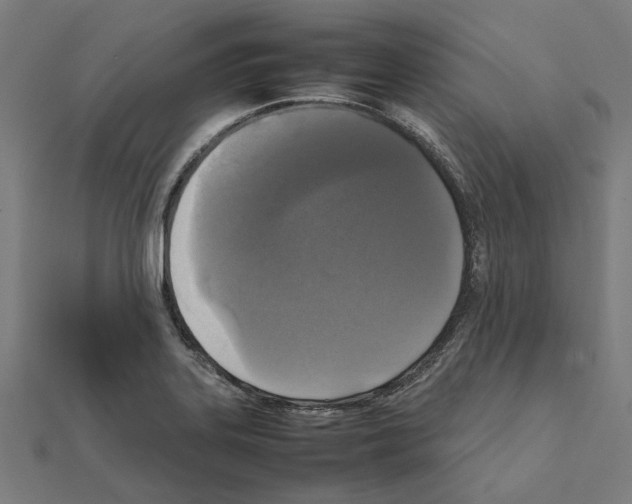 X0000111631323200908281126
