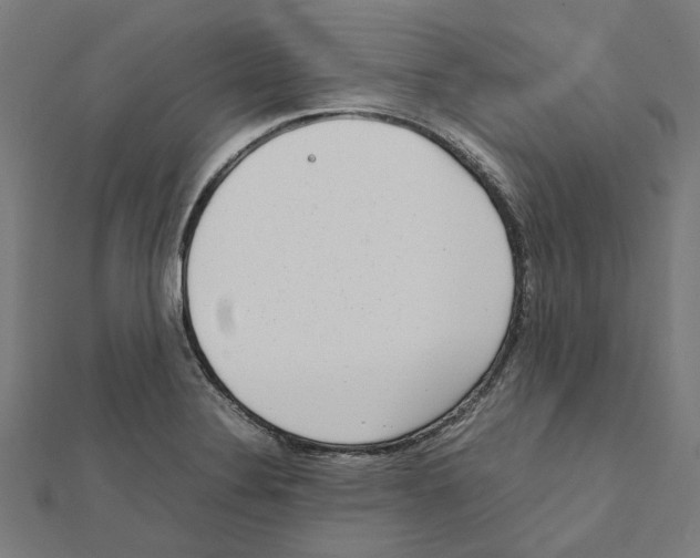 X0000111631324200908281126